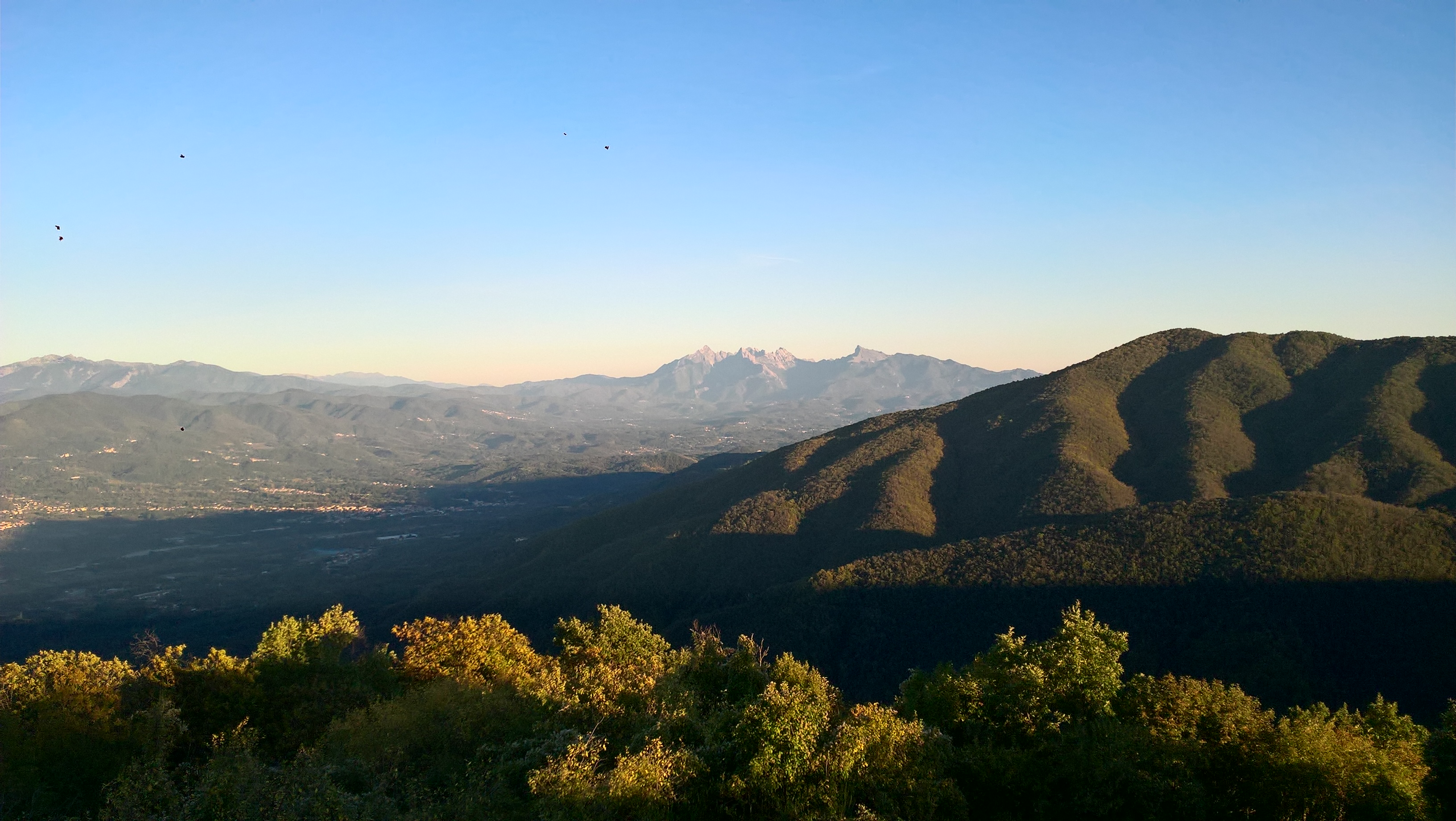 WP_20181003_18_15_48_Pro